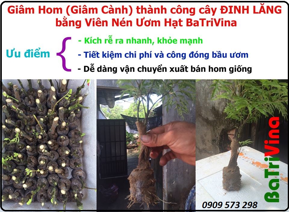 Viên Nén Ươm Hạt - Viên Nén Xơ Dừa 